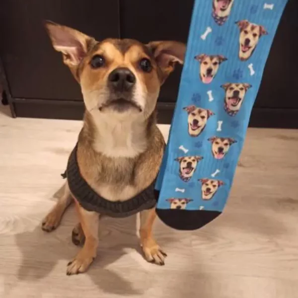 gepersonaliseerde sokken met een hond